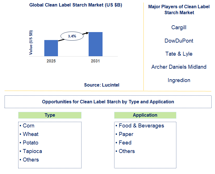 Clean Label Starch Market Trends and Forecast
